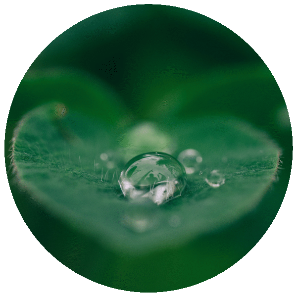 Is leaflet advertising eco friendly? Is leaflet advertising eco friendly?