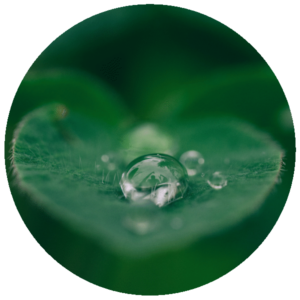 Is leaflet advertising eco friendly?